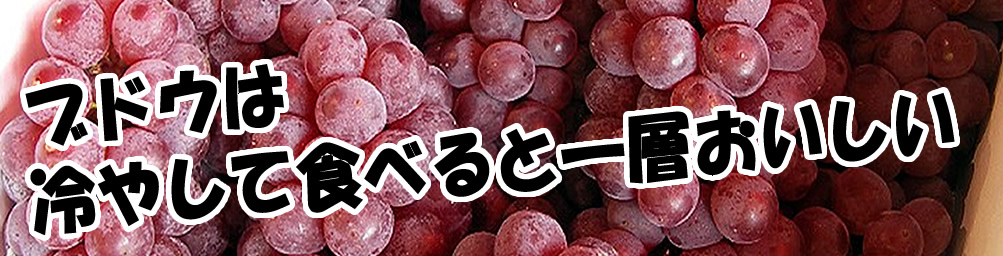 今が旬のフルーツ